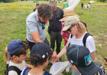 Programmation  SETA des Enfants