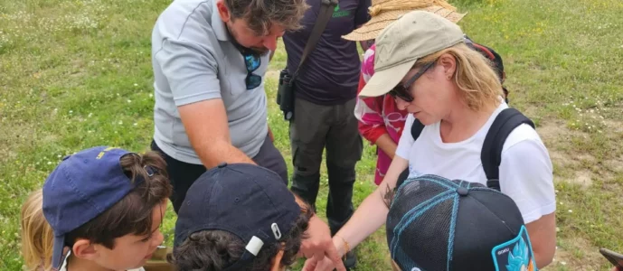 Programmation  SETA des Enfants